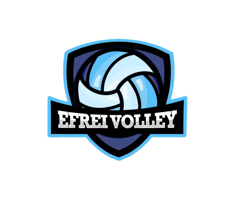 Volley logo
